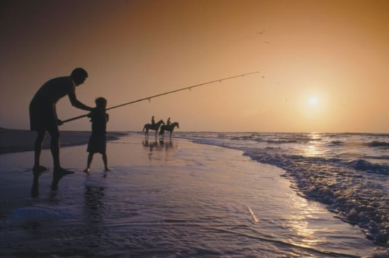 Image: SURF fishing